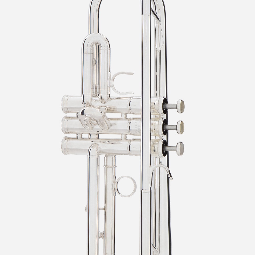 trumpet