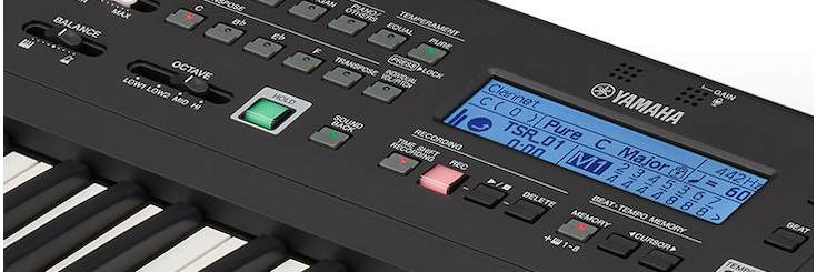 Close-up of HD-300