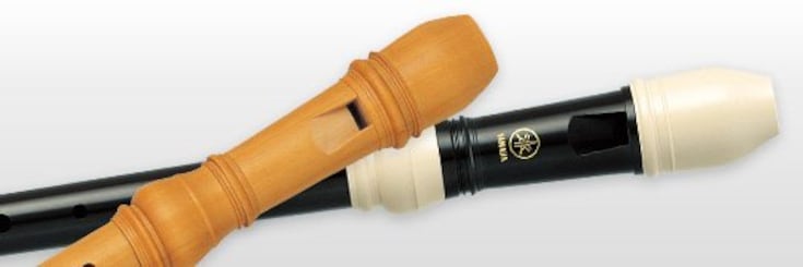 Close-up of recorders