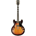 SA2200 Brown Sunburst front