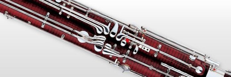 Close-up of bassoon