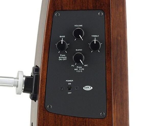 Three microphone types, EQ, and blend control deliver ideal sound